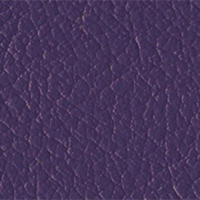 Purple Passion - Athletic Edge